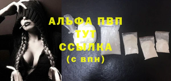 дживик Мегион