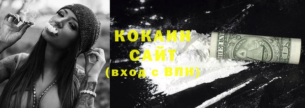 стаф Медногорск