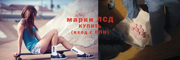 стаф Медногорск