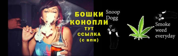 дживик Мегион