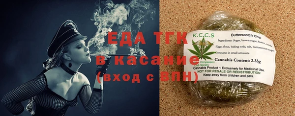 стаф Медногорск